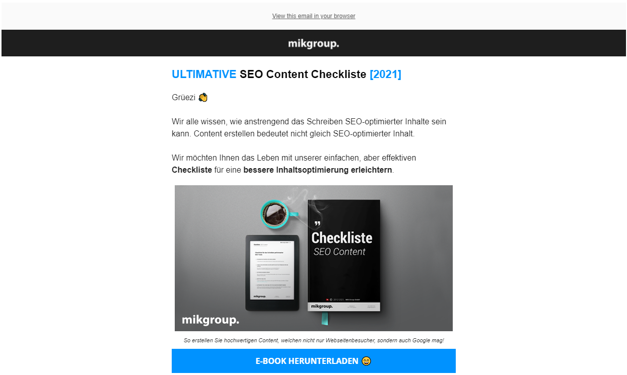 seo content checkliste newsletter beispiel
