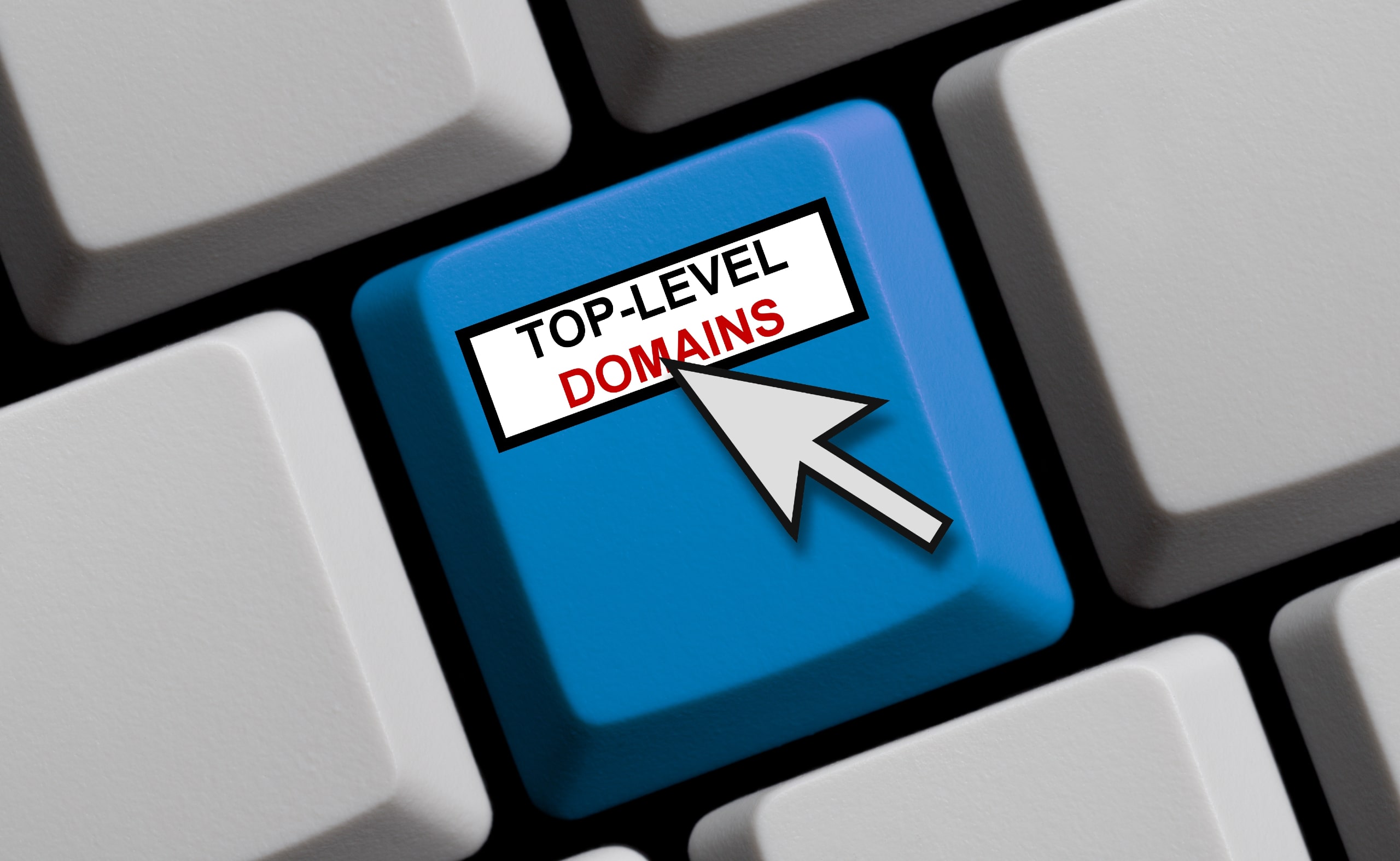 Top-Level Domain (TLD)
